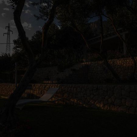מאקרסקה Villa Tamaris מראה חיצוני תמונה