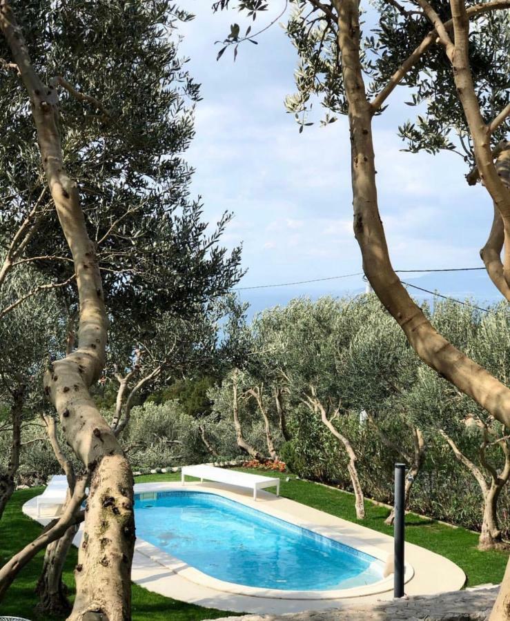 מאקרסקה Villa Tamaris מראה חיצוני תמונה
